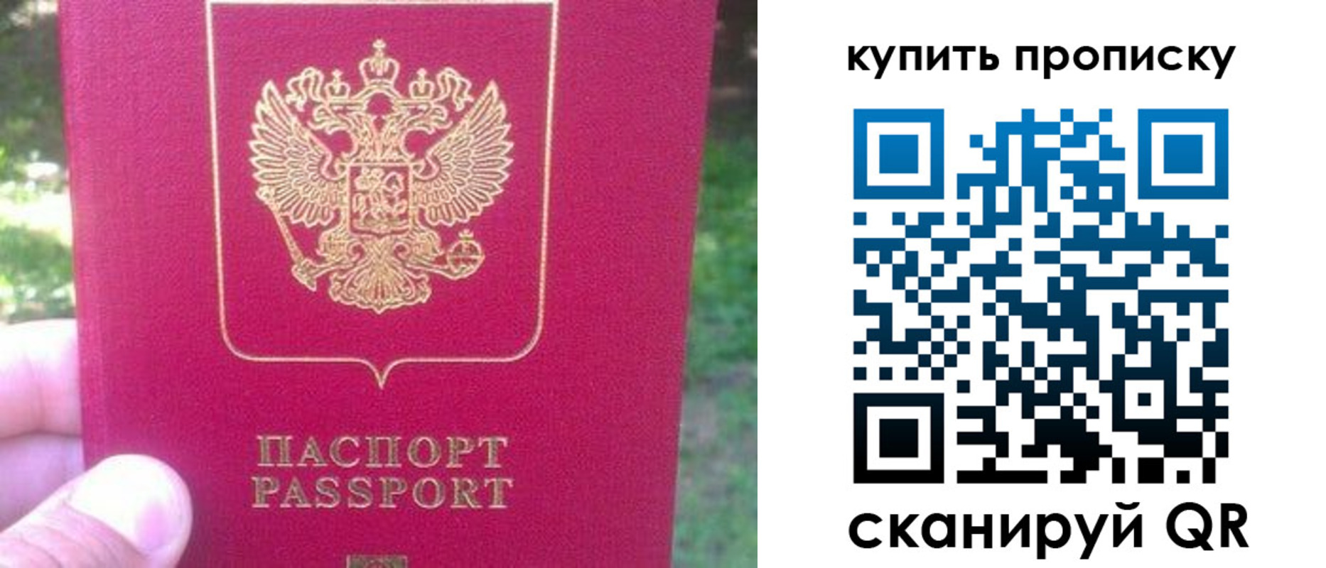 временная регистрация для школы в Смоленской области